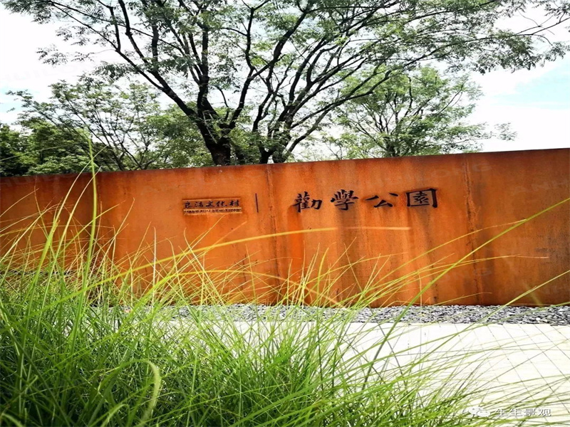 backyard corten privacy fence manufacturer